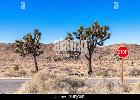 San Bernardino County, CA, USA - 5 gennaio 2022: All'uscita dell'area del sentiero di Cap Rock nel Joshua Tree National Park è presente un segnale di stop. Foto Stock