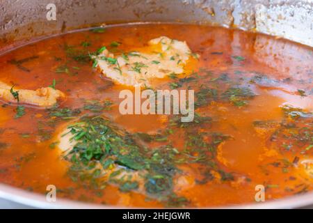 Borscht rosso, piatti ucraini, primo piano, fuoco selettivo, profondità di campo poco profonda Foto Stock