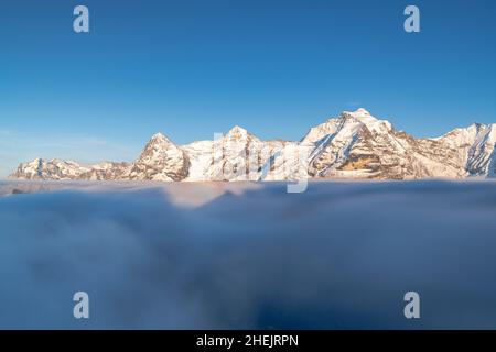 Tramonto sulle cime di Eiger, Monch e Jungfrau che emergono dalla nebbia, Murren Birg, Jungfrau Regione, Canton Berna, Svizzera Foto Stock