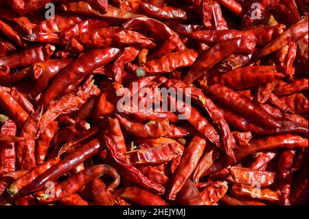 Lotto di fondo di peperoncino secco Foto Stock