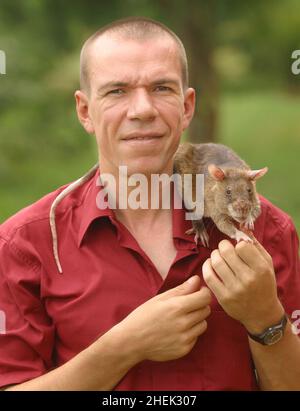 BART WEEJANS, AMMINISTRATORE DELEGATO DI APOPO CON UN RAT FORMATO GIGANTE (CRICETOMYS GAMBIANUS) PRESSO IL CENTRO DI FORMAZIONE APOPO, SOKOINE UNIVERSITY OF AGRICULTURE, MOROGORO, TANZANIA. AL CENTRO LA COMPAGNIA BELGA (APOPO), IL BAMBINO DI CERVELLO DI BART WEETJENS, STA ADDESTRANDO I RATTI PER INDIVIDUARE LE MINE TERRESTRI DA UTILIZZARE NELLE REGIONI DEVASTATE DALLA GUERRA. I RATTI SONO CONSIDERATI IDEALI PER IL LAVORO DI RILEVAMENTO DELLE MINIERE, ESSENDO PIÙ ECONOMICI DA ADDESTRARE RISPETTO AI CANI DA CECCHINO PIÙ CONVENZIONALI, OLTRE AD ESSERE PIÙ FACILI DA TRASPORTARE E MENO INCLINI A LEGARSI A GESTORI SPECIFICI. I RATTI SONO ANCHE RESISTENTI ALLA MALATTIA E RELATIVAMENTE POCO COSTOSI. Foto Stock