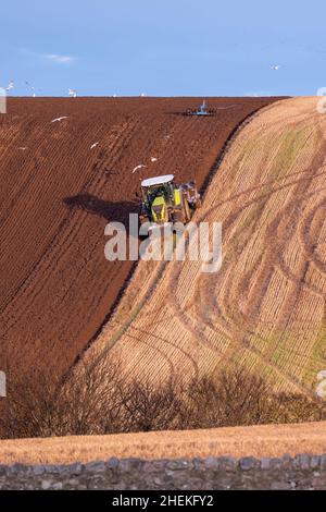 CULLEN, MORAY, REGNO UNITO. 11th Jan 2022. Questo è un agricoltore aratura di un campo ripido per seminare una coltura agricola fresca per il 2022 a Cullen, Moray, Scozia il 11 gennaio 2022 Credit: JASPERIMAGE/Alamy Live News Foto Stock