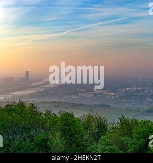 Vista panoramica di Vienna e del Danubio all'alba con la foresta in primo piano Foto Stock