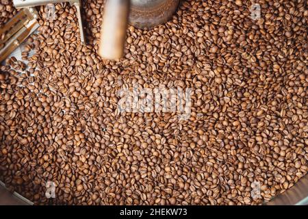 Chicchi di caffè arrosto dopo la tostatura mescolando intorno sulla piastra di raffreddamento del forno. Torrefazione di fagioli industriali. Vista dall'alto Foto Stock
