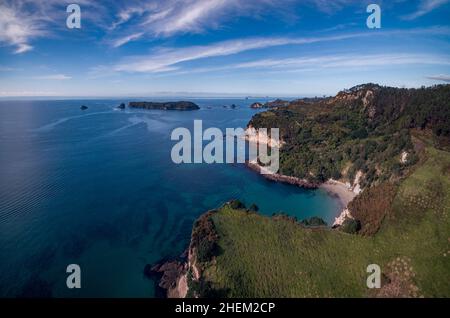 Riserva marina sulla penisola di Coromandel in Nuova Zelanda Foto Stock