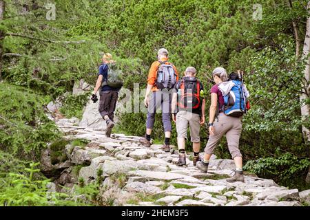 Gruppo di turisti con zaini che camminano lungo il sentiero in alto Tatra montagne in estate, settembre 2021, Poprad, Slovacchia. Foto Stock