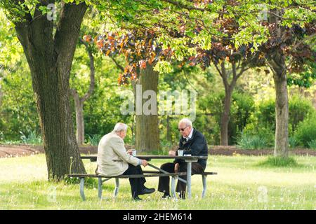 Toronto, Canada, 2015: Vecchiaia che vive in una grande città. Due anziani che giocano a un gioco mentre si siedono a un tavolo da picnic in un prato in un parco sotto una grande Sha Foto Stock