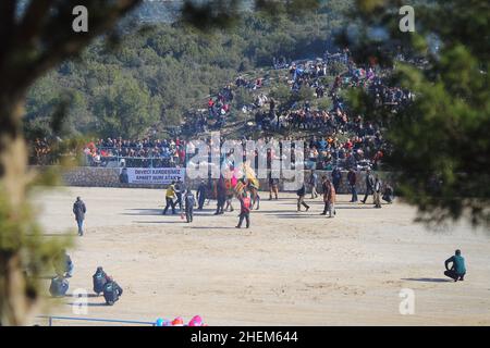 Bodrum, Turchia - 03 gennaio 2016: Il wrestling tradizionale del cammello è molto popolare nella regione egea della Turchia. Cammelli fantasia con abiti colorati per te Foto Stock