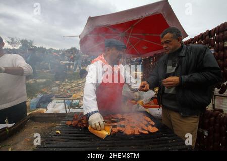 Bodrum, Turchia - 03 gennaio 2016: Il wrestling tradizionale del cammello è molto popolare nella regione egea della Turchia. Cammelli fantasia con abiti colorati per te Foto Stock