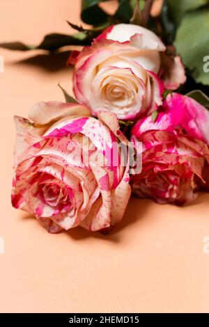 Bel bouquet di fiori rosa e bianchi da vicino su sfondo beige pastello, San Valentino o biglietto da matrimonio Foto Stock
