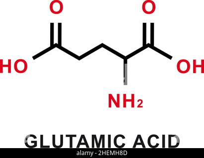 Formula chimica dell'acido glutammico. Struttura molecolare chimica dell'acido glutammico. Illustrazione vettoriale Illustrazione Vettoriale