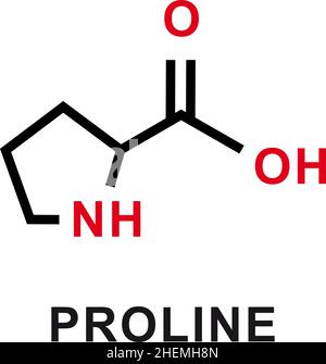 Formula chimica prolina. Struttura molecolare chimica prolina. Illustrazione vettoriale Illustrazione Vettoriale