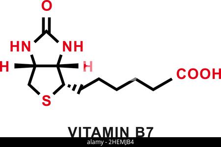 Vitamina B7 formula chimica. Struttura molecolare chimica della vitamina B7. Illustrazione vettoriale Illustrazione Vettoriale