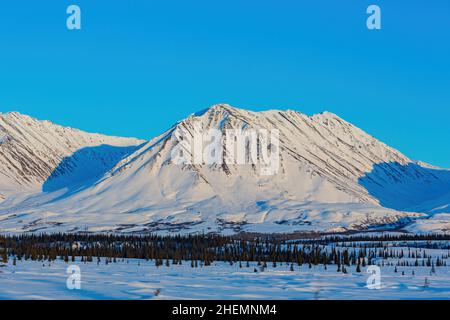 Paesaggio pomeridiano nel Denali National Park e riserva a Fairbanks, Alaska Foto Stock