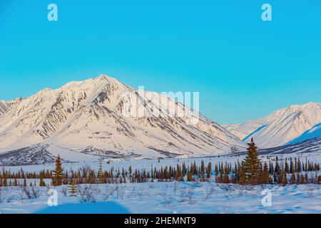 Paesaggio pomeridiano nel Denali National Park e riserva a Fairbanks, Alaska Foto Stock