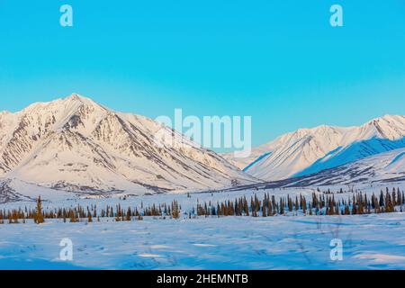 Paesaggio pomeridiano nel Denali National Park e riserva a Fairbanks, Alaska Foto Stock