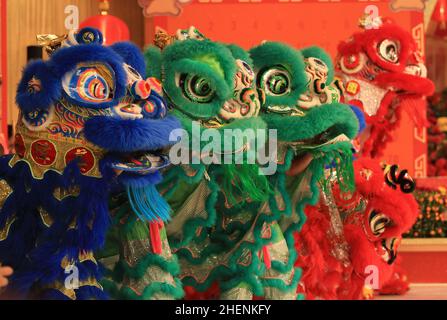 tradizionale danza del leone a hong kong, stile della cina meridionale nel nuovo anno lunare Foto Stock