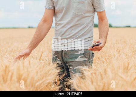 Agricoltore con smartphone che controlla lo sviluppo delle colture di grano sul campo, utilizzando la tecnologia moderna nell'attività agricola Foto Stock