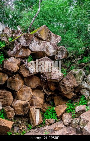 Le rocce segate sono una parete torreggiante di pipe pentagonali di basalto. Un iconico ricordo del passato vulcanico di Kaputar, situato nel Parco Nazionale del Monte Kaputar. Foto Stock