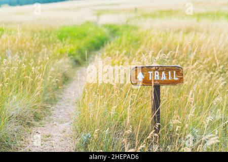 Segnavia sul campo in erba. Foto Stock