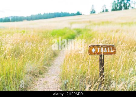 Segnavia sul campo in erba. Foto Stock