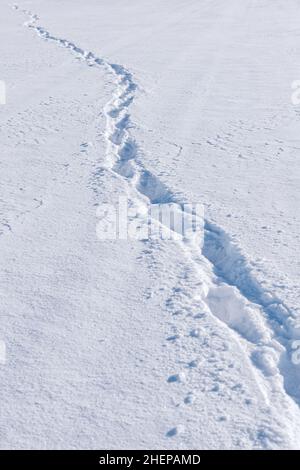 Orme nella neve Foto Stock