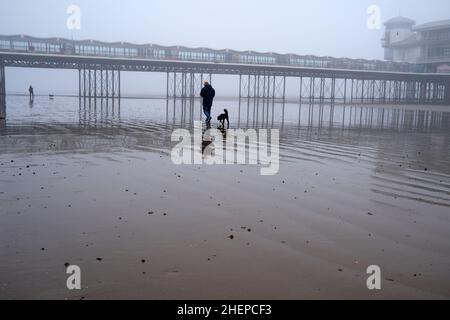 2022 gennaio - mattina cani a piedi sulla spiaggia in una giornata di nebbia atmosferica al Weston super Mare Foto Stock