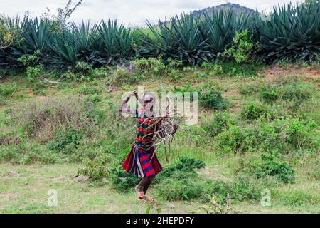 Aggressivo Hamer Tribe persone sulla strada rurale verde Foto Stock