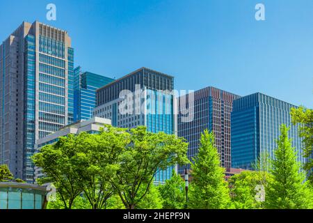 Freschi alberi verdi ed edifici Marunouchi, Tokyo Foto Stock