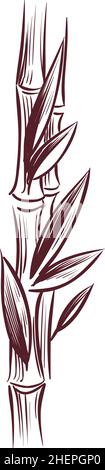 Pianta crescente stelo con foglie. Incisione della canna da zucchero Illustrazione Vettoriale