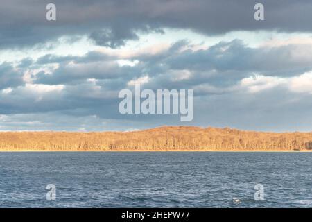 Paesaggio invernale di Mashomack Preserve, Shelter Island Foto Stock