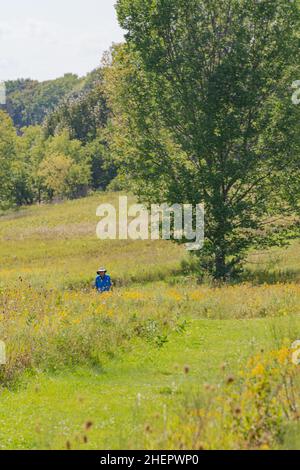 Un individuo di mezza età ottiene un certo exercise all'aperto di qualità camminando i sentieri ad una riserva naturale della contea del Wisconsin di porta in una giornata calda di autunno. Foto Stock