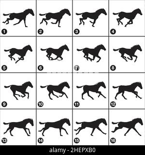 horse galoppo silhouette sequenza 16 frame vettore isolato su sfondo bianco Illustrazione Vettoriale