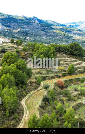 Variopinto vigneto e piantagione di mandorle nella montagna nel villaggio Guadalest, Alicante, Spagna Foto Stock