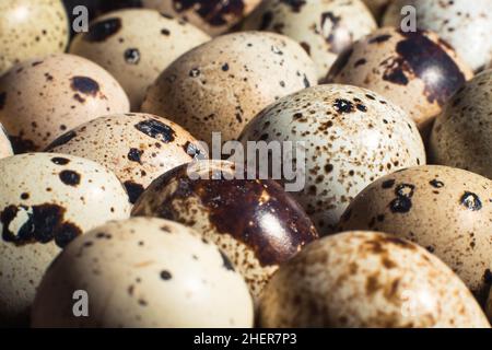 Quail uova rotazione sfondo Foto Stock
