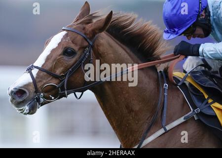 Foto del file datata 19-12-2020 di Tom o'Brien in sella non così Sleepy. Non così Sleepy è destinato a andare dritto per l'ostacolo Unibet Champion dopo aver messo in una prestazione deludente sul suo ultimo inizio. Data di emissione: Mercoledì 12 gennaio 2022. Foto Stock