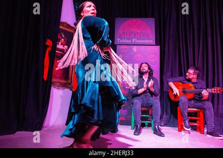 Alborea tradizionale ballerino di flamenco con musioc nel centro della città di Granada Andalusia Spagna. Ogni giorno, un cantante, un chitarrista e due danze Foto Stock