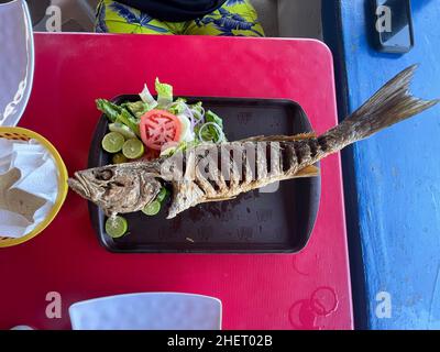 Pesce Curvina, branzino fritto in un ristorante di pesce e frutti di mare sulla spiaggia di Kino Bay, sonora. (Foto di Luis Gutierrez / NortePhoto) Pescado curvina, corvina frita en restaurante de pescados y mariscos en la baia di playa Kino, sonora. (Foto di Luis Gutierrez / NortePhoto) Foto Stock