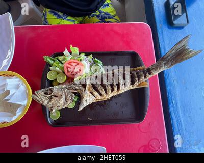 Pesce Curvina, branzino fritto in un ristorante di pesce e frutti di mare sulla spiaggia di Kino Bay, sonora. (Foto di Luis Gutierrez / NortePhoto) Pescado curvina, corvina frita en restaurante de pescados y mariscos en la baia di playa Kino, sonora. (Foto di Luis Gutierrez / NortePhoto) Foto Stock