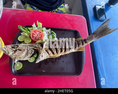 Pesce Curvina, branzino fritto in un ristorante di pesce e frutti di mare sulla spiaggia di Kino Bay, sonora. (Foto di Luis Gutierrez / NortePhoto) Pescado curvina, corvina frita en restaurante de pescados y mariscos en la baia di playa Kino, sonora. (Foto di Luis Gutierrez / NortePhoto) Foto Stock