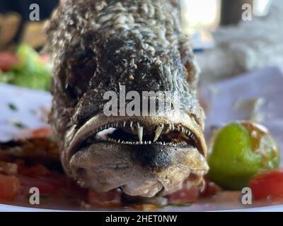 Pesce Curvina, branzino fritto in un ristorante di pesce e frutti di mare sulla spiaggia di Kino Bay, sonora. (Foto di Luis Gutierrez / NortePhoto) Pescado curvina, corvina frita en restaurante de pescados y mariscos en la baia di playa Kino, sonora. (Foto di Luis Gutierrez / NortePhoto) Foto Stock