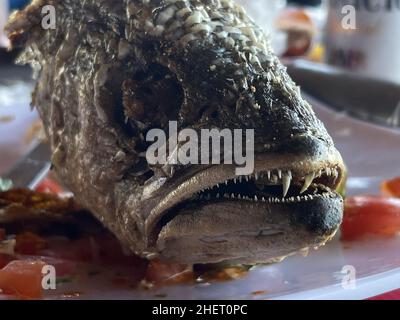 Pesce Curvina, branzino fritto in un ristorante di pesce e frutti di mare sulla spiaggia di Kino Bay, sonora. (Foto di Luis Gutierrez / NortePhoto) Pescado curvina, corvina frita en restaurante de pescados y mariscos en la baia di playa Kino, sonora. (Foto di Luis Gutierrez / NortePhoto) Foto Stock