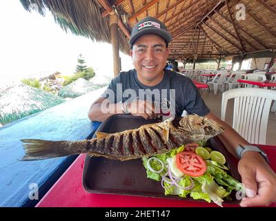 Luis Gutierrez con pesce curvina, branzino fritto in un ristorante di pesce e frutti di mare sulla spiaggia di Kino Bay, sonora. (Foto di Luis Gutierrez / NortePhoto) Luis Gutierrez con un pescado curvina, corvina frita en restaurante de pescados y mariscos en la baia di playa Kino, sonora. (Foto di Luis Gutierrez / NortePhoto) Foto Stock