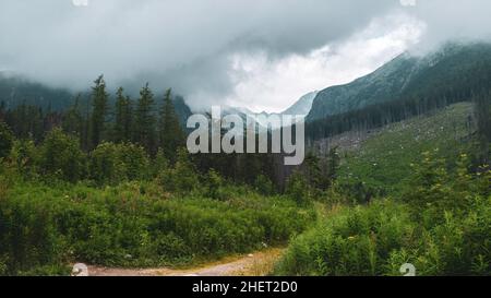 Alta montagna Tatra picco coperto da nuvole prima della pioggia sullo sfondo in Slovacchia. Sentieri turistici per escursioni in estate Foto Stock