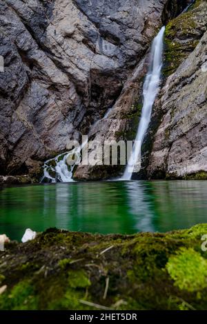 Primo piano di muschio verde e cascata Savica in Slovenia, lago di Bohinj, Parco Nazionale del Triglav Foto Stock