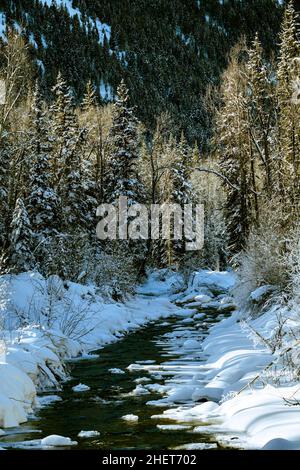 Inverno Scena di fiume Foto Stock