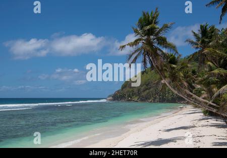 Palme e spiaggia Anse Takamaka South West Coast Mahe Island Seychelles Foto Stock