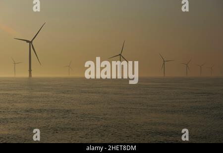 Foto di paesaggio che mostra un campo di turbine eoliche offshore nel Mare del Nord durante il tramonto estivo. L'energia è tutta verde Foto Stock