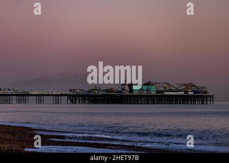 Durante il tramonto a Brighton, nel Sussex occidentale, i murmurali di Starling sorvolano il molo del Palazzo di Brighton Foto Stock