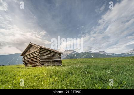 vecchia capanna in legno casetta fattoria a prato verde e montagne Foto Stock